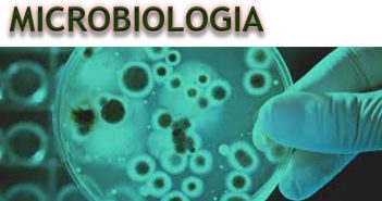 Protegido: Microbiologia – Biomedicina P3 – FASER – 2018.2